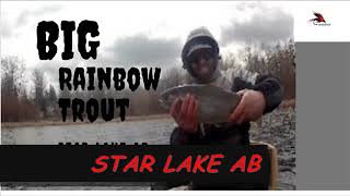 star lake Alberta (big Rainbow Trout)