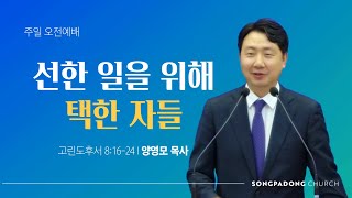 20240728 주일 예배 | 고린도후서 8:16-24 | 선한 일을 위해 택한 자들 | 양영모 목사