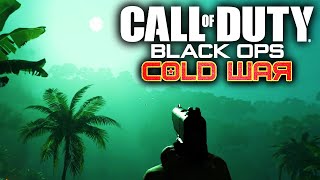 HUGE Black Ops Cold War Zombies, Multiplayer & Campaign Leaks! (Call of Duty 2020 Black Ops Leak)