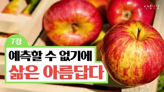 예측할 수 없기에 삶은 아름답다 | 성균관대 물리학과 김범준 교수의 물리학 강의