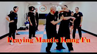 Kung Fu Training at home 2021: praying mantis Kung Fu for fighting – a real Kung Fu Class Demo