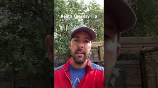 Tuesday Tip with Kent