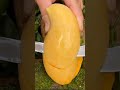 shorts yummy 😋 sweetie yellow mango cutting video 4 @growwithjaviru