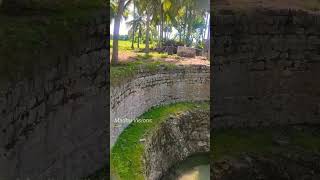 Coconut Trees Farming | தென்னந்தோப்பு விவசாயம்