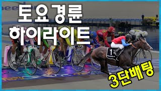 25년 제7회2일차 경륜 그리고 경마  #경정 #경마 #경륜