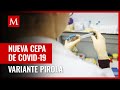 Pirola: La nueva variantes de covid-19