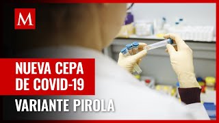 Pirola: La nueva variantes de covid-19