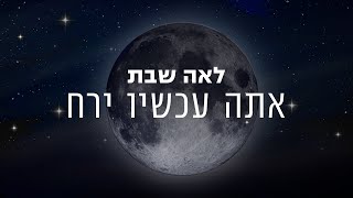 אתה עכשיו ירח - לאה שבת