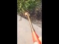 Exploding Sparklers