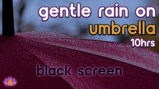 [Black Screen] Gentle Rain on Umbrella | Rain Ambience No Thunder | Rain Sounds for Sleeping