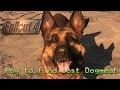 Fallout 4 | How to find lost Dogmeat