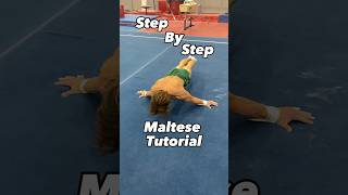 Floor Maltese Tutorial 😎💪😳 #gymnastics #calisthenics #gymnast