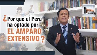 ¿Por qué el Perú ha optado por el AMPARO EXTENSIVO? - TTR 62