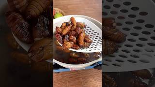 炸蚕蛹😢 Fried silkworm chrysalis #food #strangerthings #silkworm #fried #eating