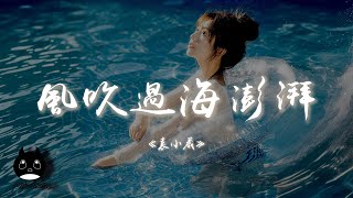 袁小葳 - 風吹過海澎湃『風吹過那一片海潮汐因此澎湃，你施捨那一點愛我便熱烈滿懷。』【動態歌詞 | Pinyin Lyrics】【PENGUIN MUSIC】