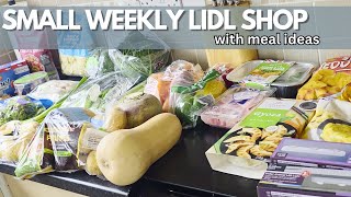 WEEKLY FAMILY FOOD SHOP | UK FAMILY GROCERIES | LIDL GROCERIES | FOOD SHOP UK | SMALL WEEKLY SHOP