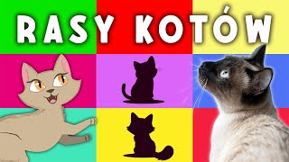 😻🐾 Rasy kotów - zgaduj razem z nami! | Zagadki dla dzieci 😻🐾