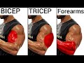 Top 5 Bicep Workout Tricep Workout and Forearm Workout to Build Big Arm - biceps y triceps