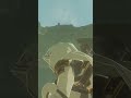 How to Launch a Lynel - BoTW #Shorts