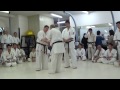 【新極真会】luc vandecraen 2014 wko dan grading test shinkyokushinkai karate 2014年wko昇段審査　ルケ・ヴァンデケラーン　昇段組手