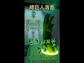 Marvel漫威超級英雄特展03-綠巨人浩克｜Korean Koala TV