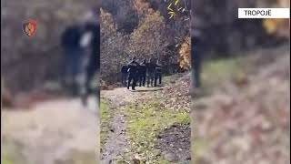 Top Channel/ Me veshje ushtarake, i rrethuar nga policë/ Momenti kur arrestohet vrasësi 33-vjeçar