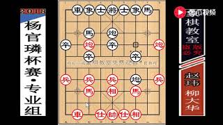 【象棋教室】2018“杨官璘杯”炸蛇篇：赵玮“千里运炮”拿捏·柳大华