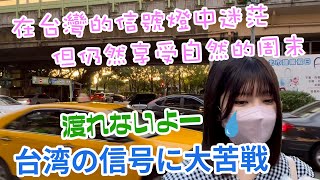 【台湾の信号難しい…】雖然信號燈中迷茫但仍然享受自然的周末