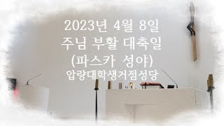 20230408 주님 부활 대축일 성야 미사