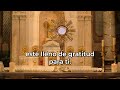 oración de agradecimiento a dios por todas las bendiciones alimento de fe