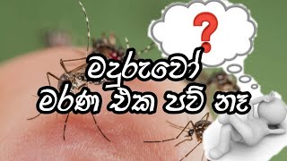 ඔබගේ අතින් ඉබේම සිදුවන ප්‍රාණ ඝාත වලට හේතුව | හඳපාන්ගොඩ නිවාතාප හිමි | චක්ඛුං උදපාදි