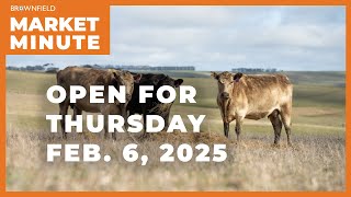 Cattle are lower Thursday morning | Opening Market Minute