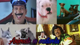 Vadivelu vs Animals /Animals funny video tamil //😂🤣😂.....