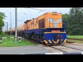 ldz cargo Čme3m 6149 passes by priedaine