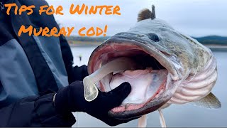‘Let's Talk’ BIG Impoundment Murray Cod | Things I wish I knew before going Cod fishing