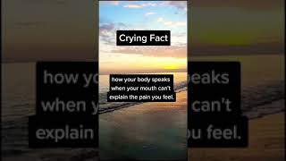 How often do you cry? Fact #factgrove #shorts