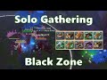 Solo Gathering Black Zone Vol.127 - Albion Online