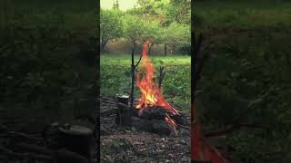 آتش سکوت آرامش / Fire Peace