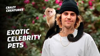 Weirdest Celebrity Pets