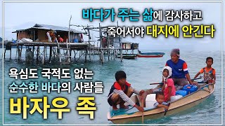 '눈에 보이는 거라곤 넘실대는 푸른 물뿐이지만 정작 사람 쓸 물은 없다' 그럼에도 바다가 주는 삶에 감사한 욕심 없이 순수한 바다 위 해상부족 '바자우 족'ㅣ인류원형탐험