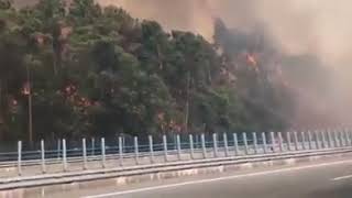 Grande incêndio na A 11 Braga Guimarães Portugal 🇵🇹