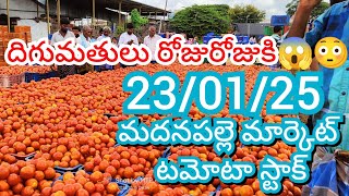 23-01-25 Madanapalle Tomato Market price Today || Today Tomato Market Rate in Madanapalle #today