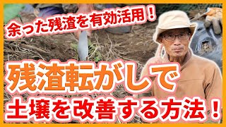 家庭菜園や農園の夏野菜栽培や冬野菜栽培の野菜残渣を上手く活用！残渣転がしで土壌改善するテクニックを徹底解説！【農家直伝】