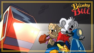 DIAMONDS ARE FOREVER - Episode 9 - Season 3 - The Adventures of Blinky Bill