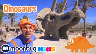 Blippi Visits Dinosaur Exhibition to Learn About Eggs and Fossils! | Jurassic Tv