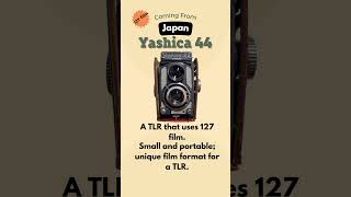 Yashica 44: Compact Brilliance #vintagephotography