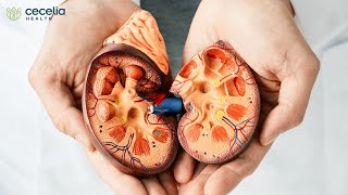 Chronic Kidney Disease and Diabetes