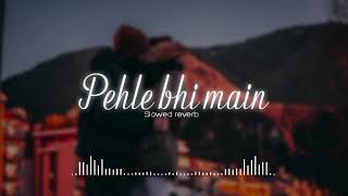 Pehle Bhi Main (Slowed - Reverb) | Vishal Mishra | Animal Movie |