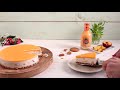 kuchen ohne backen rezept verpoorten pfirsich maracuja cheesecake