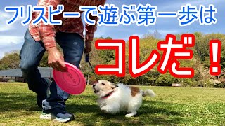 三田の自然と触れ合いながら愛犬とフリスビーで遊べるようにしたい！